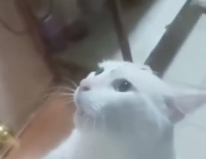 Выгани меня выгани!⁠⁠