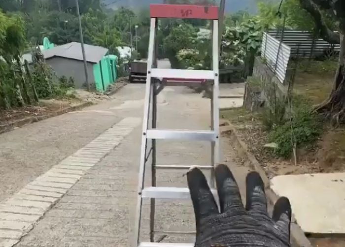 Вернись, я всё прощу!⁠