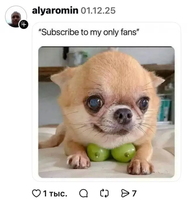 Новые мемы