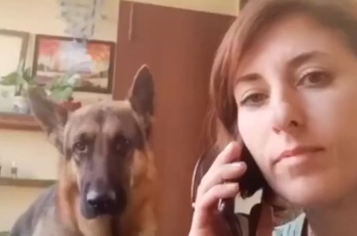 Гулять?⁠⁠