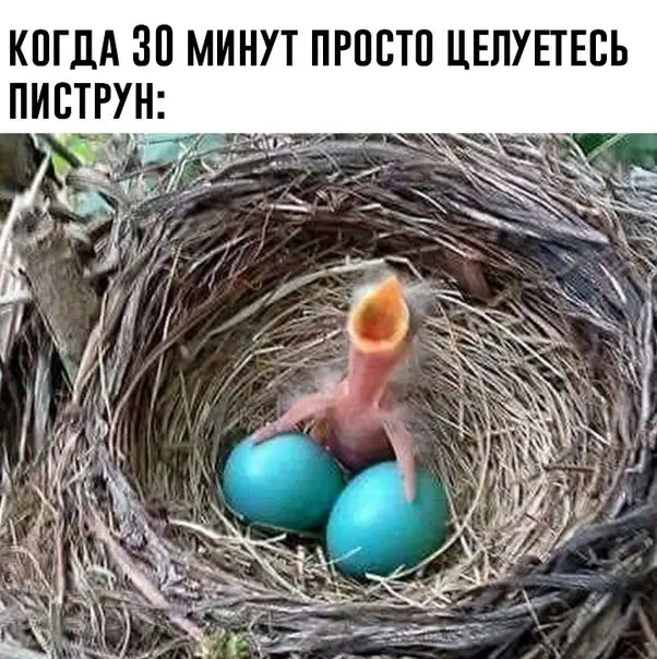 Новые мемы