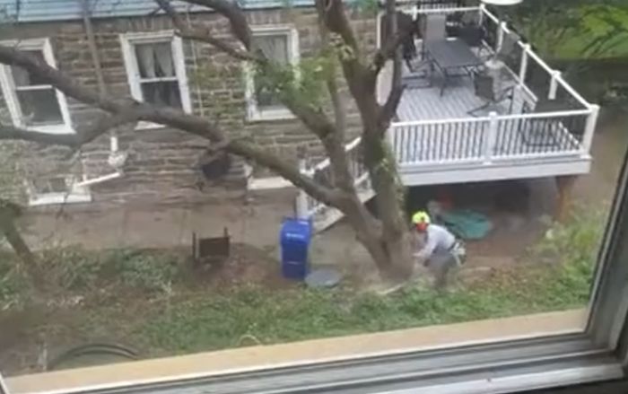 Когда спиливаешь дерево в Австралии⁠⁠