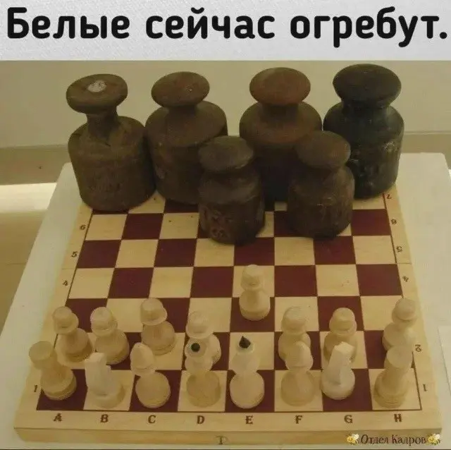 Новые мемы (20 фото)