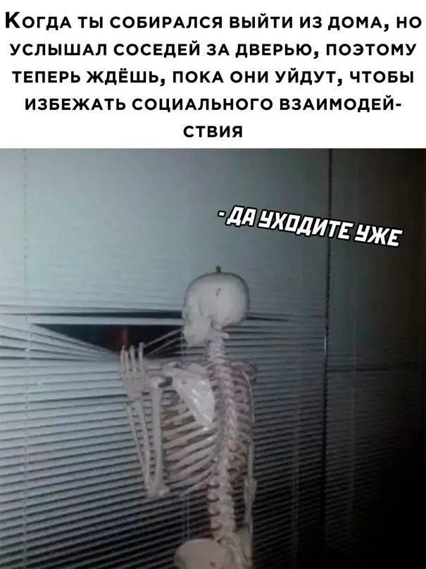 Смешные мемы