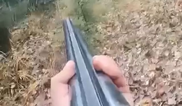 Медведица отгоняет охотника со стальными бубенцами