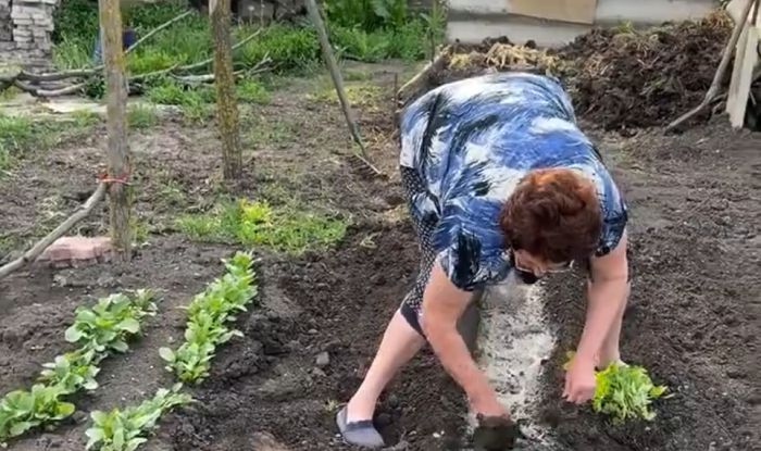Именно так и выглядит крепкая семья