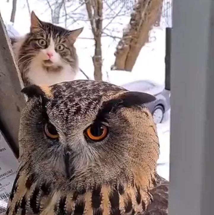 Ну нахер⁠⁠
