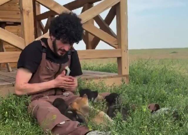 Этим щенятам повезло родиться в самом лучшем месте на Земле