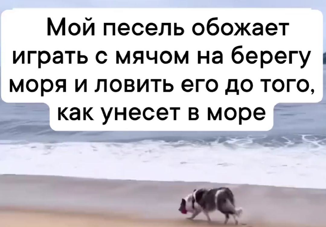 Ну что за милота)⁠⁠