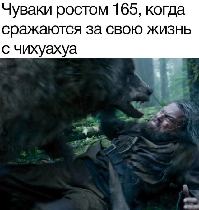 Смешные мемы