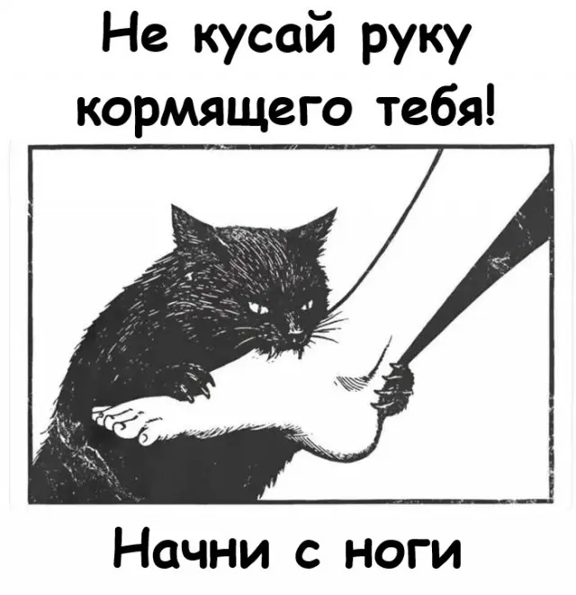 Смешные мемы