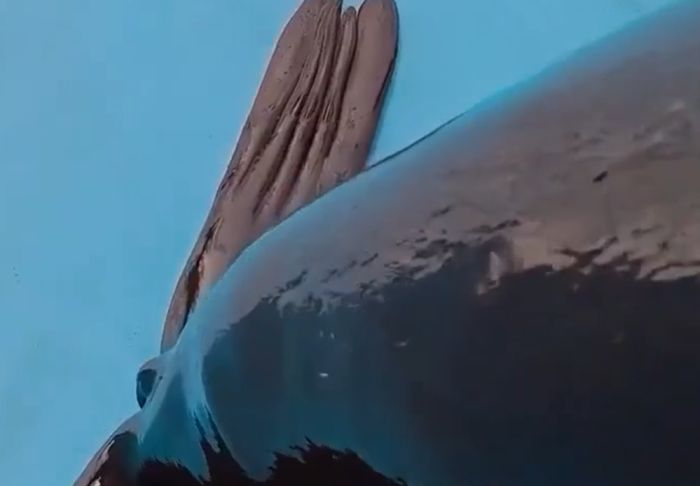 Я думал они гладки⁠⁠е