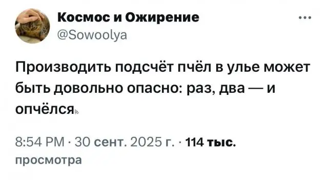 Новые мемы