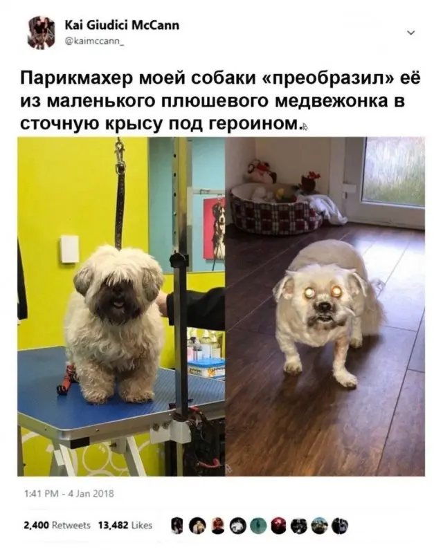 Новые мемы
