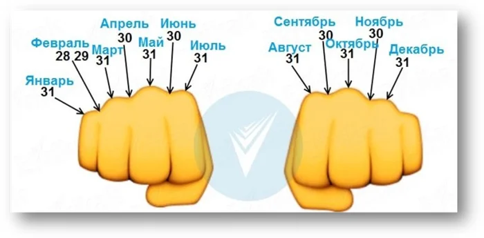 Школьные знания