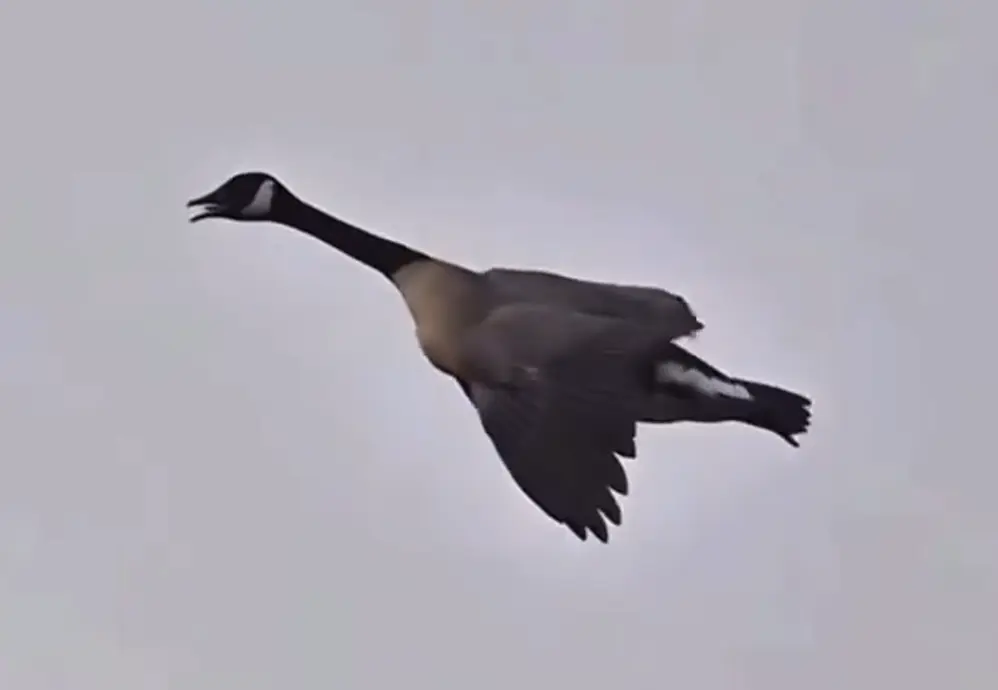 Оцените посадку⁠⁠