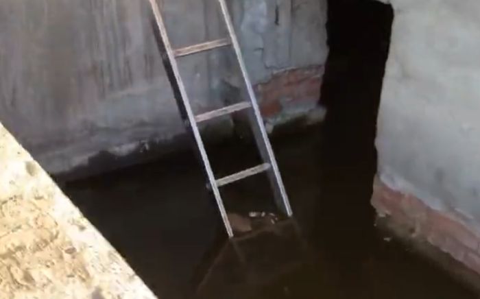 Спасение котёнка