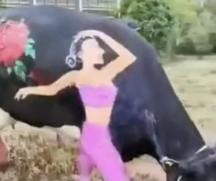 Не, не догонит он её