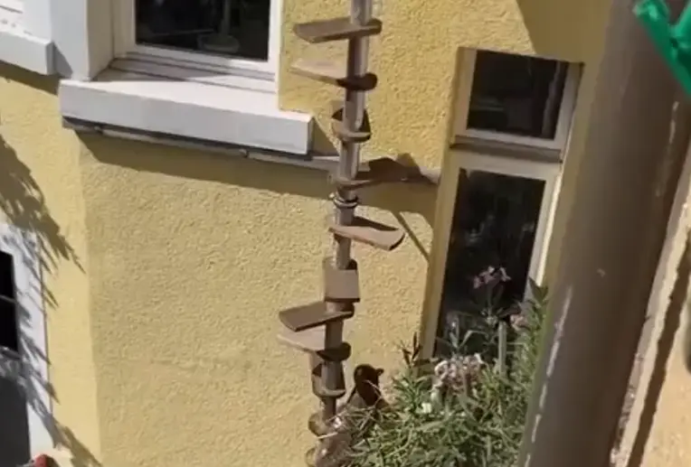 Котолестница⁠⁠