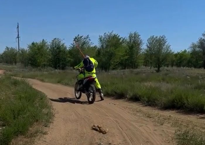 Любопытное⁠⁠