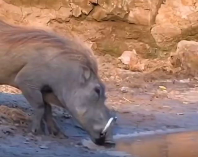 Когда живёшь в неблагоприятном районе и вышел за водичкой