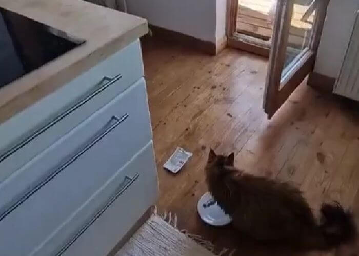 Я тут в гости...