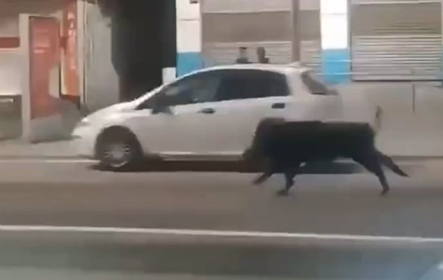 Безопасность на дороге не ганантируется нигде⁠⁠