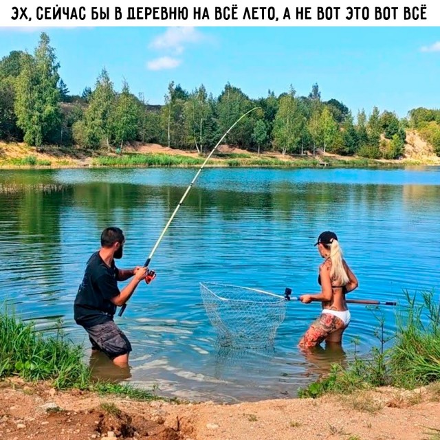 Вечерние мемы