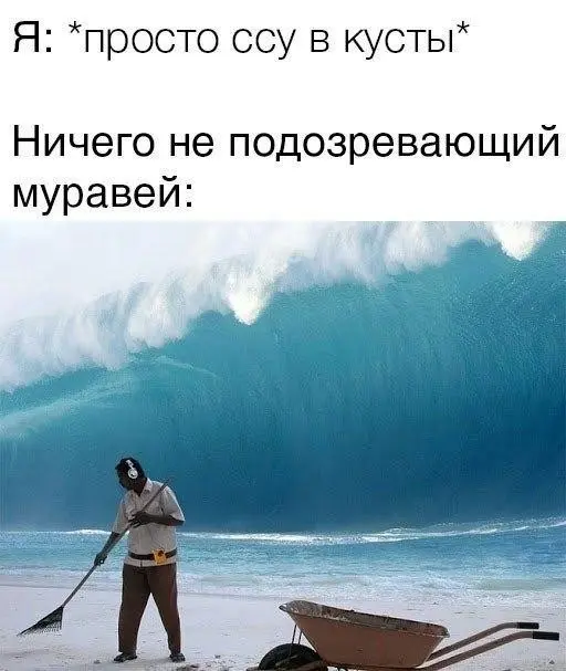 мемы