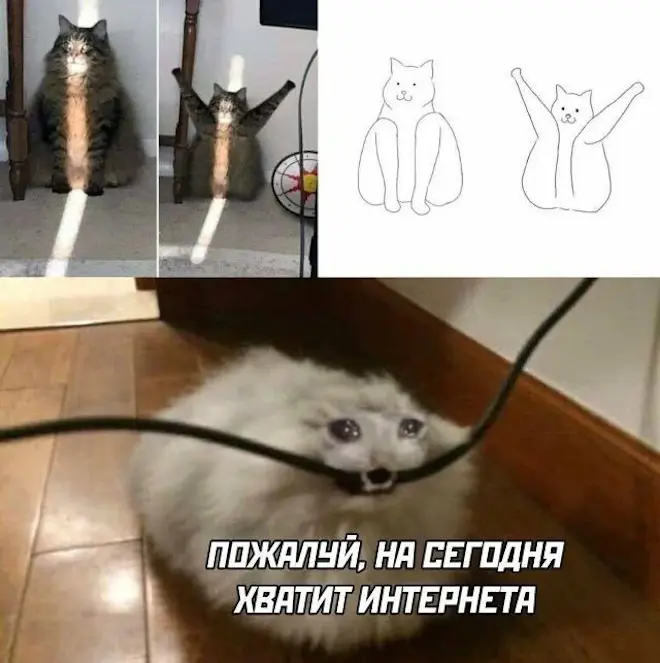 мемы