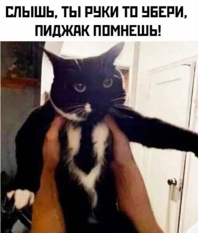 приколы