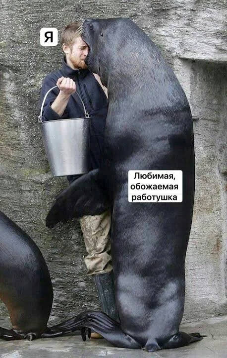 Новы мемы