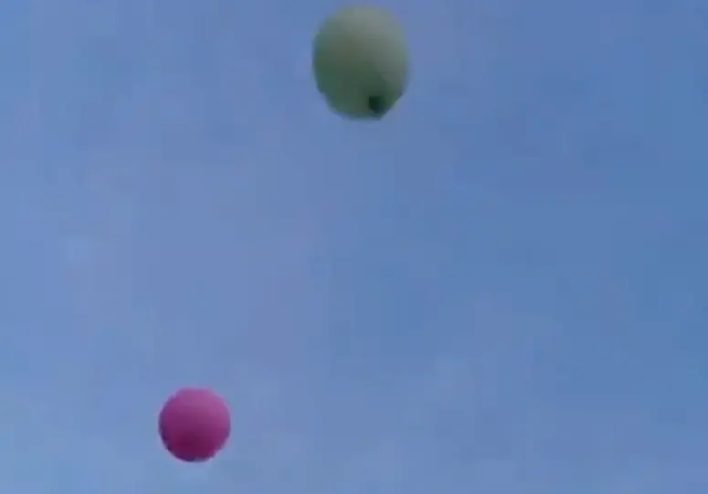 Так то дело говорит