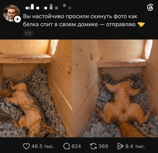 Вечерние мемы