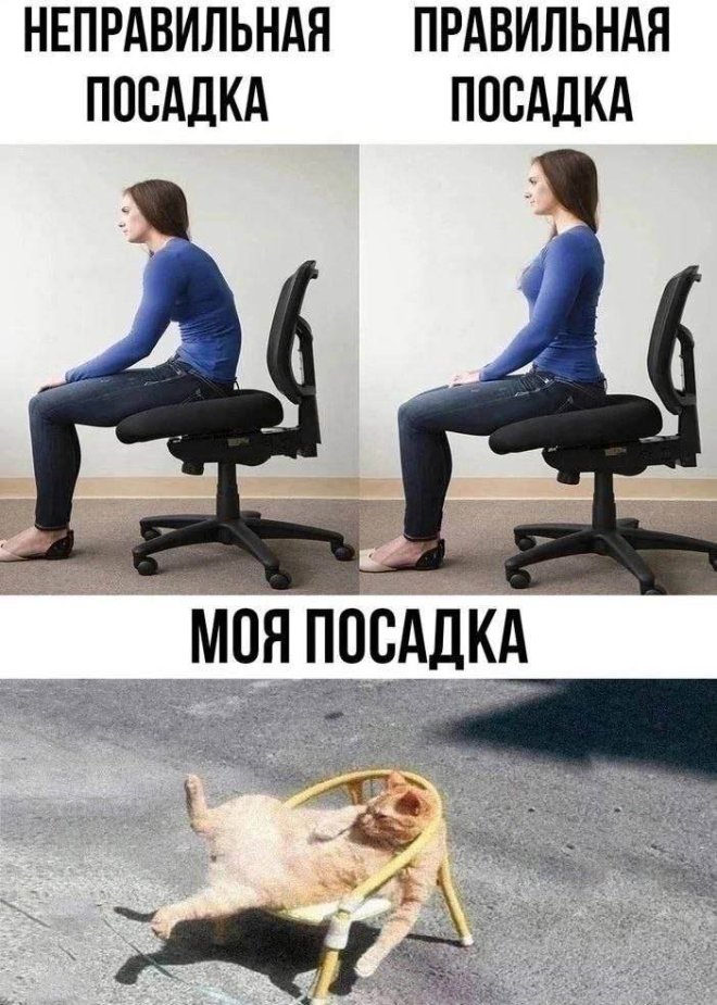 Новы мемы