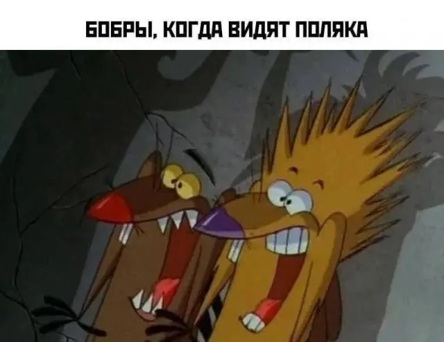 Вечерние мемы