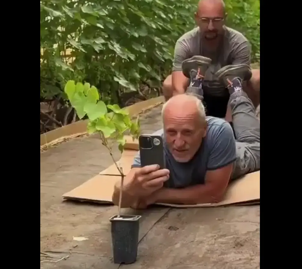 Отличная идея⁠⁠