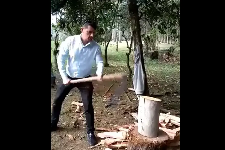 Сразу видно городской