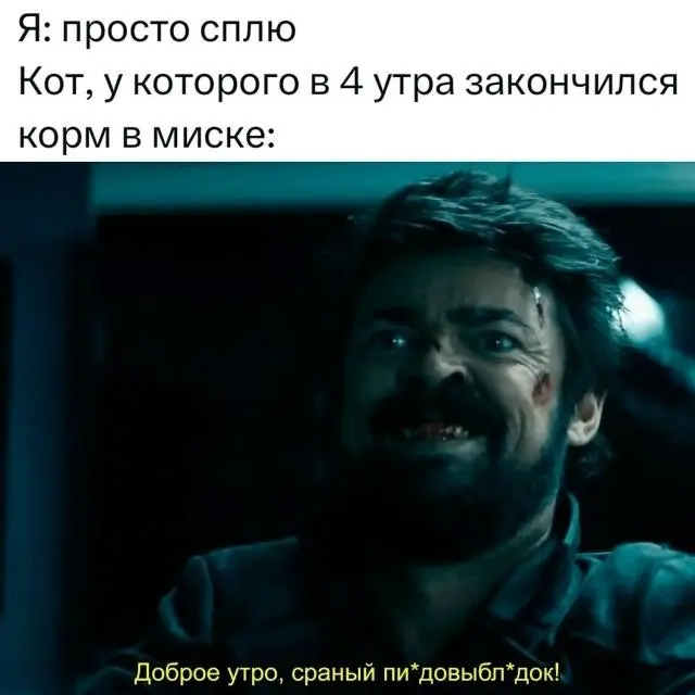 подборка мемов