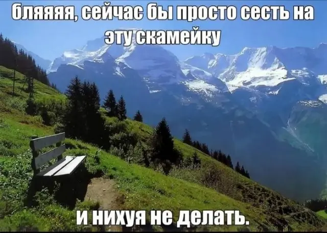 мемы
