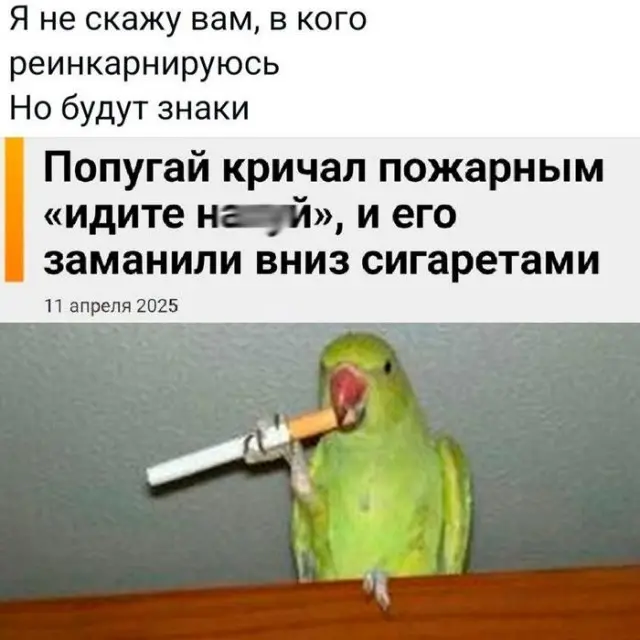 мемы