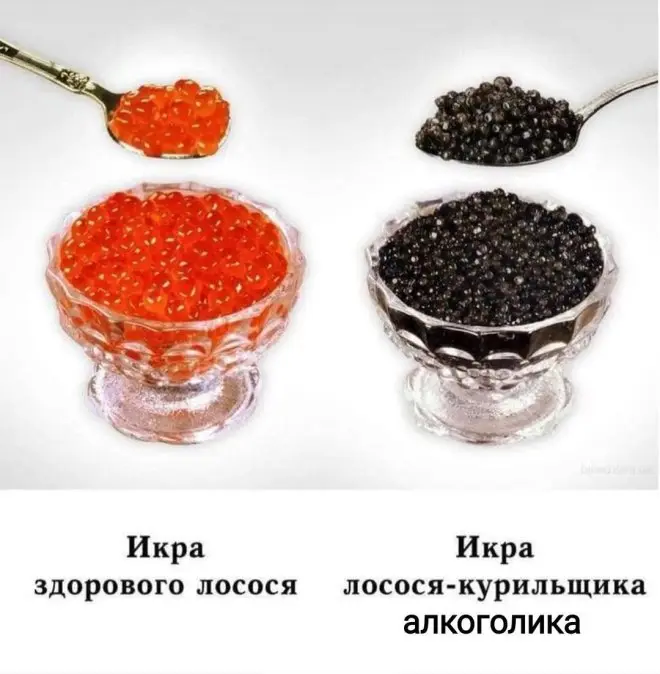 мемы