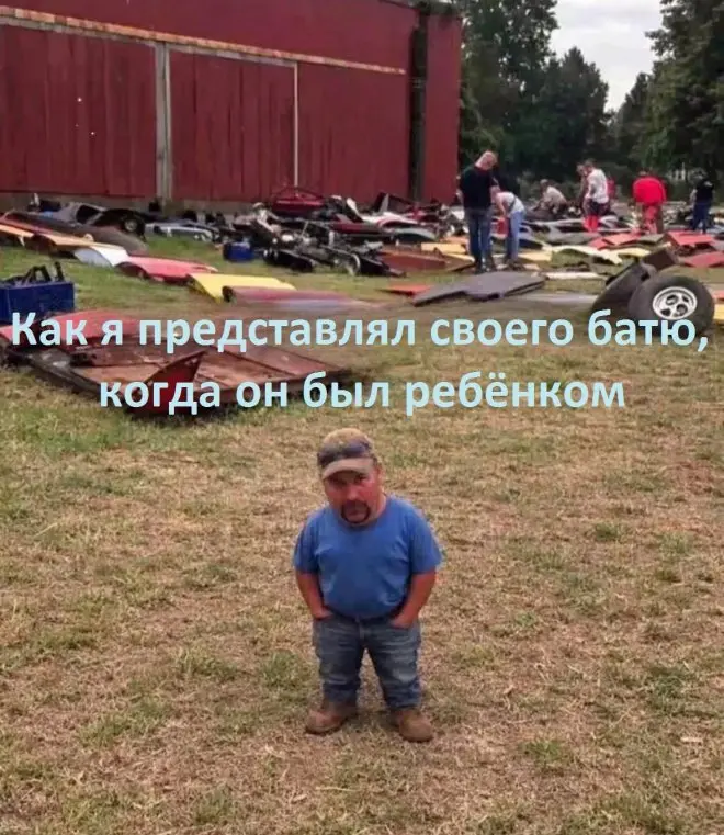 мемы