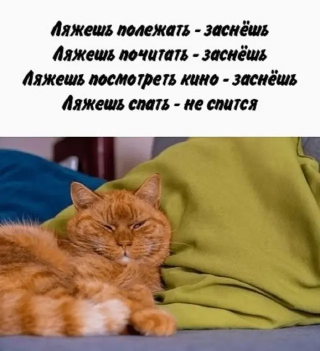 Юмор