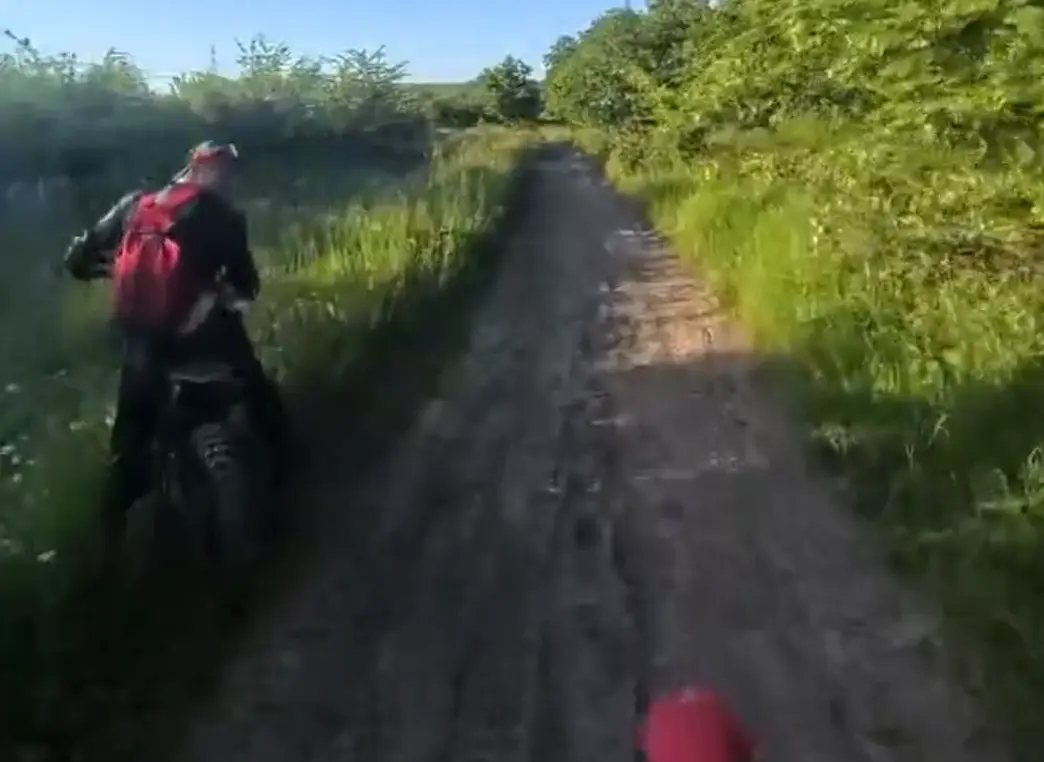 Доброе и забавное