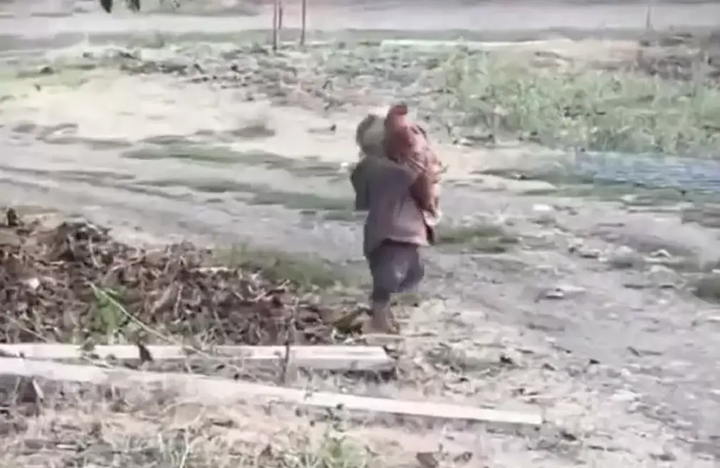 Справился с задачей несмотря ни на что⁠⁠