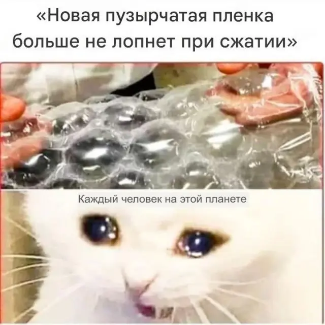 подборка мемов