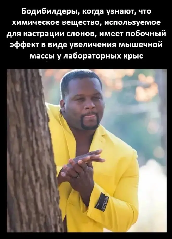 мемы