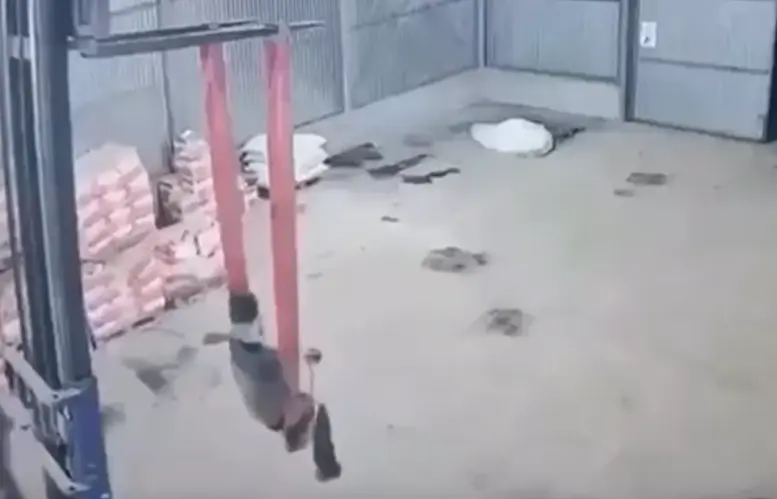 Копчик вышел из чата