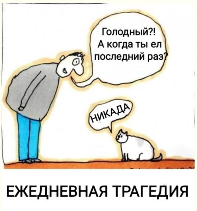 Субботние мемы